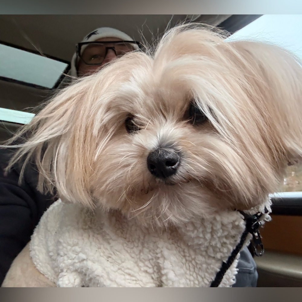 Meet your Posher, Jesse